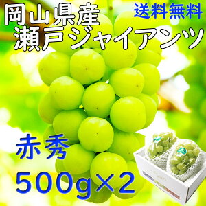 Ԃǂ@˃WCAc@RY@500g×2@@Mtg@@wOK@twOK@햳