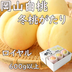 ���C���� �~�������� 2�`4�� ��600g ���R���Y ���R�� �̂� ���l �M�t�g ��j�� ��� �v���[���g ���t�w��\ �w���OK