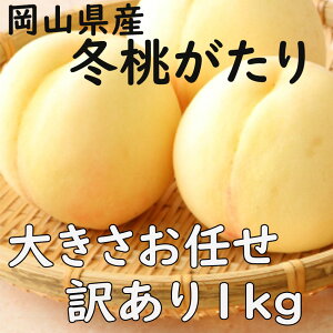 �󂠂� �~�������� ��1kg �T�C�Y���C�� ���R���Y ���R�� �̂� ���l �M�t�g ��j�� ��� �v���[���g ���t�w��\ �w���OK