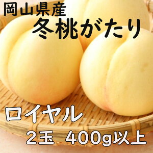 ���C���� �~�������� 2�`3�� ��400g ���R���Y ���R�� �̂� ���l �M�t�g ��j�� ��� �v���[���g ���t�w��\ �w���OK