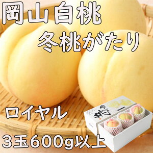 ���C���� �~�������� 2�`4�� ��600g ���R���Y ���R�� �̂� ���l �M�t�g ��j�� ��� �v���[���g ���t�w��\ �w���OK