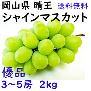  VC}XJbg yDiz 2kg 3`5[ ƒp   RY Ԃǂ Mtg v[g ̂ lΉ wOK   蕨 JA _i