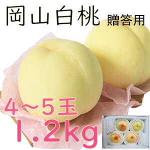   1C2kg 4`5  p R RY 䒆 ̂ l Mtg  v[g   ZT[ 