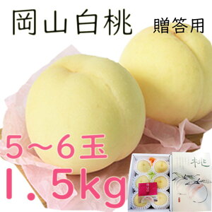   1C5kg 5`6 p RY R  䒆 ̂ l Mtg j  v[g