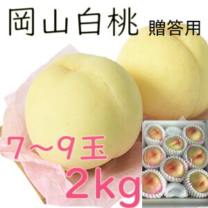 ������ ���� ��2kg 6�`9�� �����p ���R�Y ���R���� �������� ���Z���T�[ �Â� �䒆�� �̂� ���l �M�t�g ��j�� ��� �v���[���g