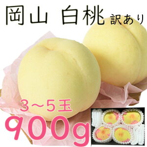 ������ ���� ��900kg 3�`5�� �ƒ�p ��� ���R�Y ���R���� �������� ���Z���T�[ �Â� �䒆�� �̂� ���l �M�t�g ��j�� ��� �v���[���g