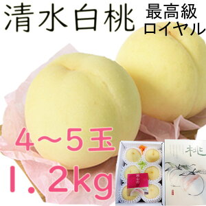 ������ �������� ��1�C2kg 4�`5�� ���C���� �ō��� �����p ���R�Y ���R���� �������� �䒆�� �̂� ���l �M�t�g ��j�� ��� �v���[���g