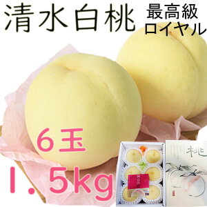 ������ �������� ��1�C5kg 5~6�� ���C���� �ō��� �����p ���R�Y ���R���� �������� �䒆�� �̂� ���l �M�t�g ��j�� ��� �v���[���g