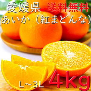 ݂ g܂ǂ  ƒp Ε Q 4kg  M`4LTCY twOK JAЂ Mtg l v[g