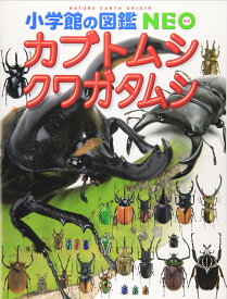 カブトムシ クワガタムシ (小学館の図鑑NEO)