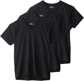 ボディワイルド Tシャツ Vネック 3枚組 BW50153 メンズ