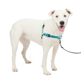 PetSafe デラックス イージーウォークハーネス 犬 ハーネス 中型犬 引っ張り防止 調整簡単 ネオプレン 抜けない 耐久性が高い 夜間反射 大型犬（M/L オーシャンブルー/ブラック）