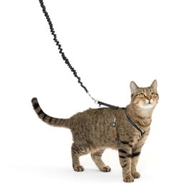 PetSafe（ペットセーフ）猫のハーネス イージーウォーク ネコ用ハーネスバンジーリード ブラック Mサイズ