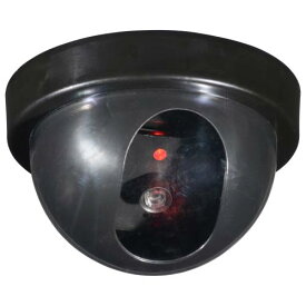 オーム(OHM)オーム電機monban 防犯ダミーカメラ ドーム型 常時点滅 24時間点滅タイプ 屋内 玄関 軒下用 乾電池式 空き巣対策 セキュリティ対策 OSE-PDCW1 07-8695