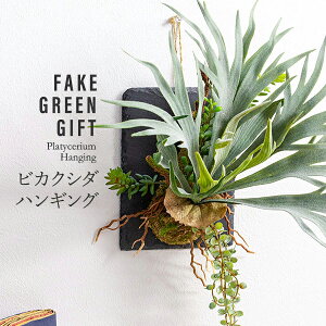 tFCNO[ lHϗtA nMO   G} 킢  CeA L R C IV Ǌ| v[g Mtg a ~jϗt j / rJNV_ 