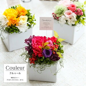 vU[uht[ JtVbNƂĂ΂l͋̕CYlC̃vU Couleur ND[  [Y t[Mtg AWg uU[ht[ uU   LO v