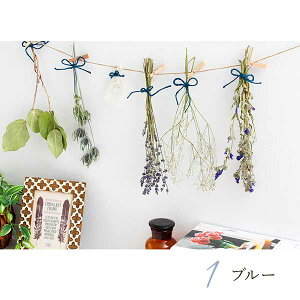 hCt[ hCt[K[h TSURUSU    i` t[Mtg AWg hCt[   LO a v[g Mtg