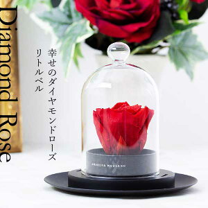 vU[uht[ K̃_Ch[Y gx  [Y t[Mtg AWg uU[ht[ KXh[ KX Y ꂢ v|[Y LO 