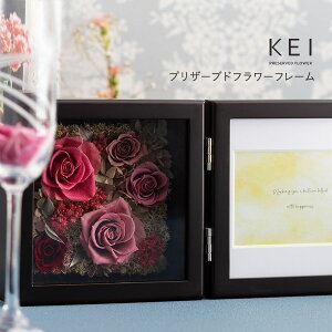 vU[uht[ tHgt[ c KEI uU[ht[ ͂Ȃ o  킢 KN  t[Mtg AWg uU  FB Mtg 蕨  