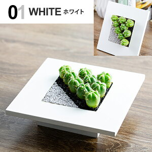 T{e 񂹐A Mtg `t[ ڂĂ A IuWF v[g JXj z a vw LO