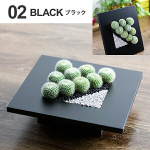 T{e 񂹐A Mtg `t[ ڂĂ A IuWF v[g JXj z a vw LO