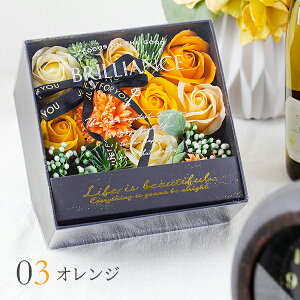 \[vt[ {[_ AeB[N BOX  [Y KN {bNX ͂Ȃ n₷  IV t[Mtg AWg \[vt[   LO a c