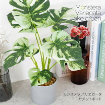 楽天市場】ハート型（人工観葉植物｜造花・人工観葉植物）：花・観葉