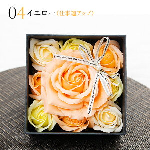 \[vt[ {bNX j ԐFŉ^CAbvt[\[vBOX t[Mtg AWg  N \[vt[ oYj av[g 蕨 a   L