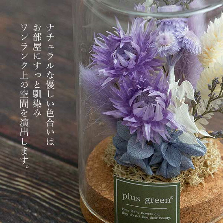 楽天市場】ドライフラワー ガラスボトル ガラス 花 ふわふわ ボトル 