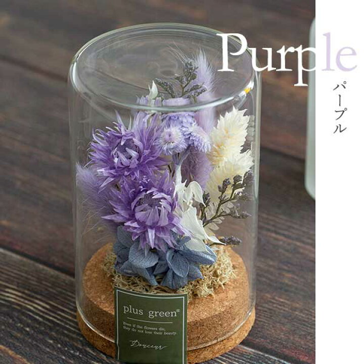 楽天市場】ドライフラワー ガラスボトル ガラス 花 ふわふわ ボトル 