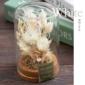 hCt[ KXh[ KX{g  {gt[ i` hCt[ Mtg   킢 k CeA a LO