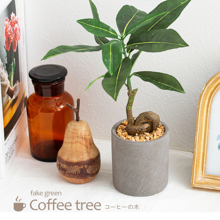楽天市場】フェイクグリーン 卓上 コーヒーの木 人工観葉植物 お手入れ 