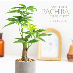 tFCNO[ lHϗtA  ~j   G} Zg  킢  CeA e[u L R C IV v[g Mtg a ~jϗt A 