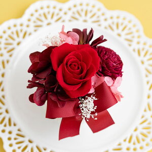 vU[uht[ Sante TeB uU[ht[ Mtg  a v[g  a җ җj  ͂Ȃ o JXj  LO 