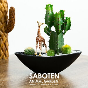 T{e 񂹐A Mtg yV1 IV ϗtA A 񂹐A JN^X _t Aj}T{e M`^Cv 40 Iׂ VCq tBMAt 픫 ڂĂ v[