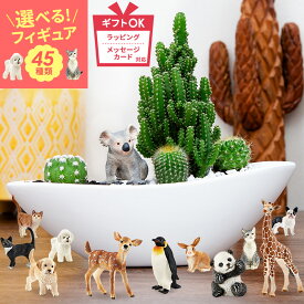 サボテン 寄せ植え ギフト 楽天1位 オシャレ かわいい 観葉植物 多肉植物 寄せ植え カクタス セレウス アニマルサボテン 舟形タイプ 40種類 から 選べる シュライヒ 動物フィギュア付 陶器鉢 鉢植え 鉢 さぼてん プレゼント 誕生日 開店祝い 美容室