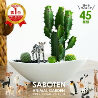サボテン 寄せ植え ギフト 楽天1位 オシャレ かわいい 観葉植物 多肉植物 寄せ植え カクタス 大雲閣 アニ…
