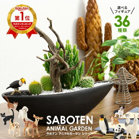 サボテン 寄せ植え 開店祝い 周年 祝い 美容室 サロン お店 お祝い サボテン 寄せ植え セレウス 電磁波サボテン 流木タイプ 陶器鉢 シュライヒ 動物フィギュア付 玉サボテン 多肉植物 寄せ植え プレゼント 開業祝い 誕生日