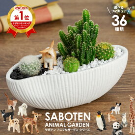 サボテン 寄せ植え 楽天1位 かわいい オシャレ 観葉植物 多肉植物 寄せ植え セレウス 電磁波サボテン 波形タイプ 陶器鉢 選べる 39種類 シュライヒ 動物フィギュア 付 鉢 さぼてん プレゼント 誕生日 開店祝い 美容室