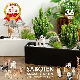 サボテン 寄せ植え 楽天1位 オシャレ 観葉植物 多肉植物 寄せ植え セレウス 電磁波サボテン ハートタイプ 陶器鉢 選べる 36種類 シュライヒ 動物フィギュア 付 鉢 さぼてん プレゼント 誕生日 開店祝い 美容室