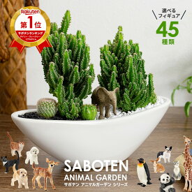 サボテン 寄せ植え インテリア グリーン 楽天1位 オシャレ カクタス セレウス 多肉植物 寄せ植え 電磁波サボテン 舟形大タイプ 陶器鉢 選べる シュライヒ 動物フィギュア付 玉サボテン 説明書 プレゼント 開店 誕生日