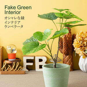 フェイクグリーン 観葉植物 フェイク 人工観葉植物 卓上 ミニ 小さい おしゃれ 光触媒 鉢 かわいい 造花 インテリア テーブル 消臭 抗菌 空気清浄 デスク オシャレ プレゼント ギフト 誕生日