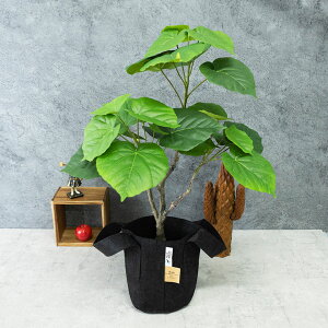 tFCNO[ ϗtA tFCN lHϗtA u  I G}  킢  CeA L R C IV v[g Mtg a g[ 傫 A 