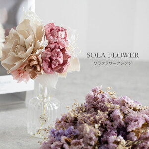 \t[ VRfނ̃t[u[P \t[AW  \ sola t[Mtg AWg   LO a v[g Mtg