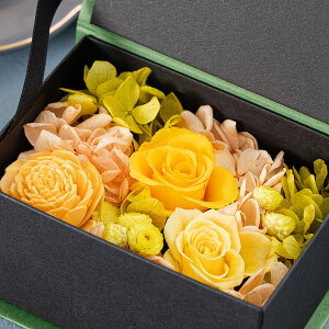 vU[uht[ uU[uht[ {bNXt[ Small Garden X[K[f  a v[g  a  ͂Ȃ o JXj LO 