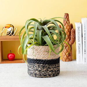 tFCNO[ ϗtA tFCN lHϗtA   I G}  킢  CeA e[u L R C IV v[g Mtg a ~jϗt 