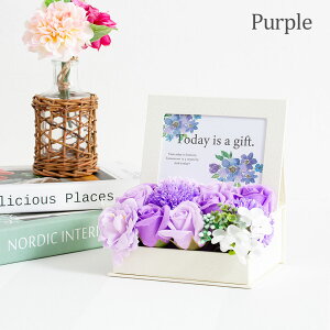 \[vt[ tHgt[ }Olbg ȒPʐ^Zbg \[vt[ Mtg ʐ^  a v[g  a  ͂Ȃ o JXj LO 