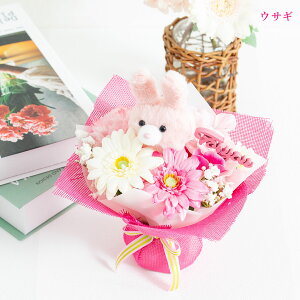 K[x J[l[V A[eBtBVt[ u[P  Aj} ETM lR JG P[X Mtg  v[g   ͂Ȃ a j 