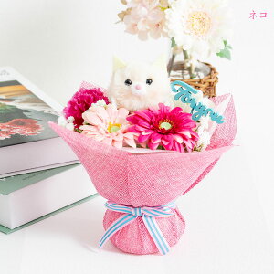 K[x J[l[V A[eBtBVt[ u[P  Aj} ETM lR JG P[X Mtg  v[g   ͂Ȃ a j 