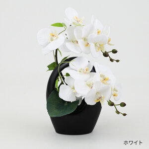 A[eBtBVt[ sNFƐzCǧӒMtg     sN Ӓ t[Mtg AWg A[gt[   LO a